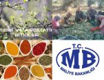 Hazi̇ne Arazi̇leri̇ Tarımsal Üreti̇m Amaçlı Ki̇ralanıyor