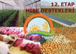 Kırsal Kalkınma 12. Etap Başvuru Esaslarında Değişiklik Yapıldı