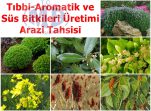 Tıbbi-Aromatik ve Süs Bitkileri Yetiştiriciliğine Arazi Tahsisi Yapılıyor