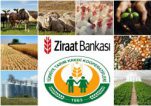 Tarımsal Üretime Yönelik Düşük Faizli Krediler Belirlendi