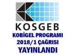 KOSGEB KOBİGEL Program 2018/1 Proje Teklif Çağrısı Açıklandı
